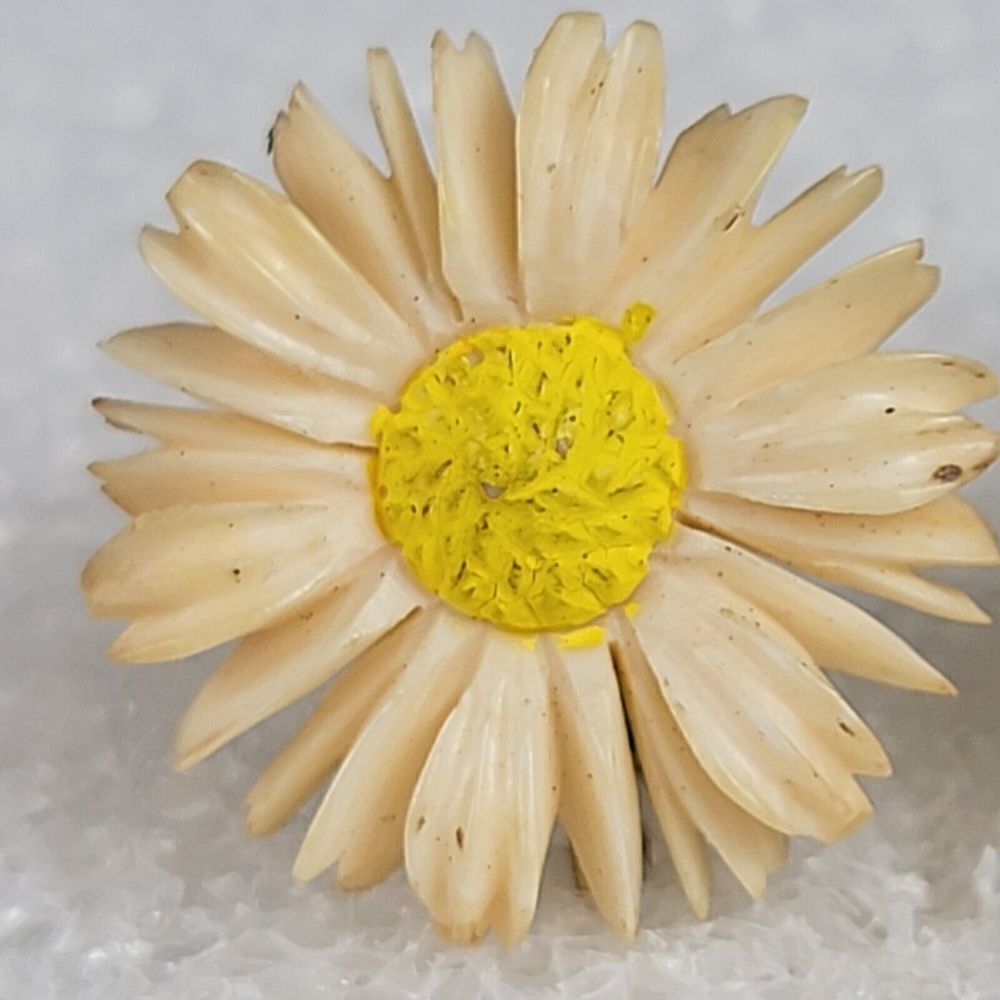 Vintage WINARD Beige Flower Stud Clip-On Earrings 1/20 12K Gold Filled 1 Inch - Picture 3 of 6